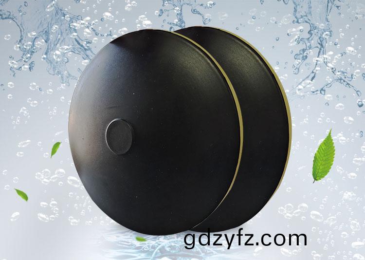 BPB薄(bao)盤型(xing)盤(pan)式曝(pu)氣(qi)器